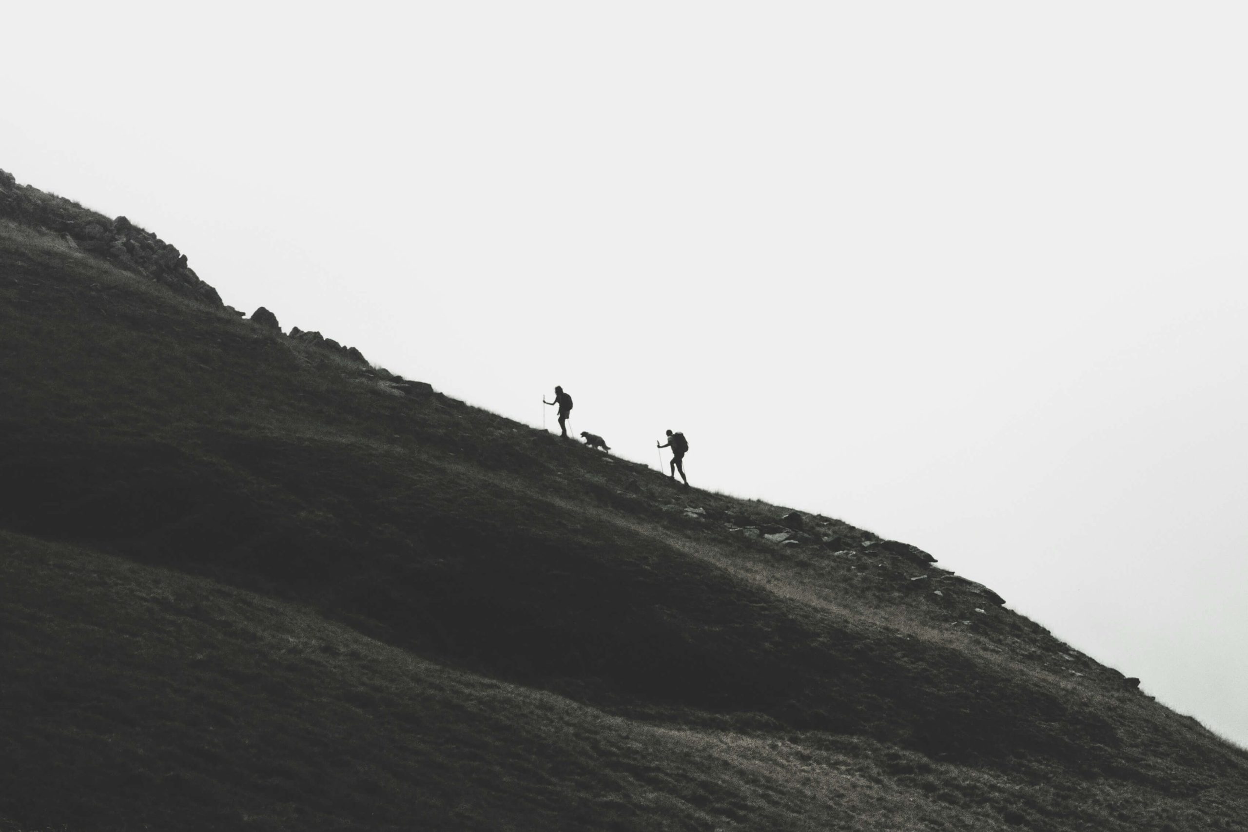 Ascend Coaching with Mark Boys